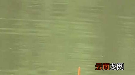 早春寒潮可以钓鱼吗，早春钓鱼注意