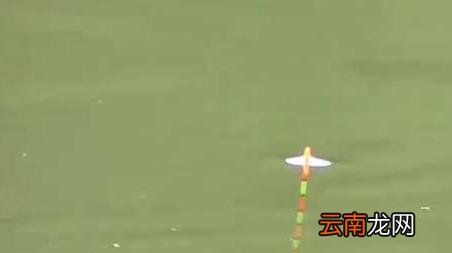 早春寒潮可以钓鱼吗，早春钓鱼注意