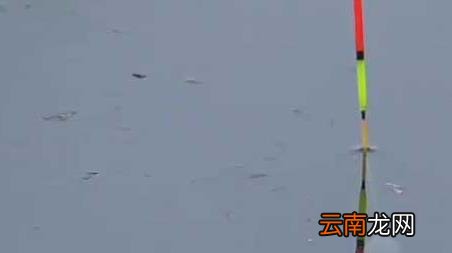 春季下雾好钓鱼吗 早春有雾好钓鱼吗