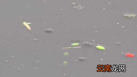 早春钓鱼气压和气温多少合适 早春钓鱼天气和温度