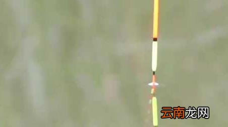 早春阴天好钓鱼吗，春季阴天好不好钓鱼