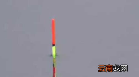 初春钓鱼的最佳时间是什么时候 早春钓鱼最佳时间是什么时候