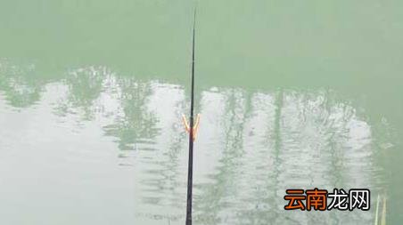 初春钓鱼最佳气温多少度 初春气温多少度能钓鱼
