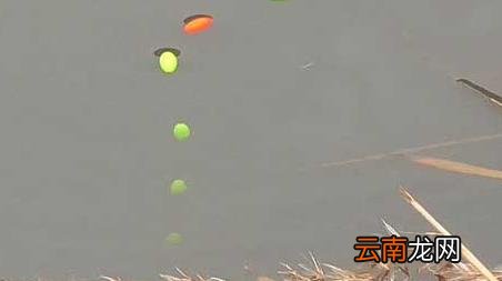 河里刚开化能钓鱼吗 河水刚开化能钓鱼吗