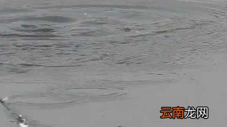 春季钓鱼打窝 等多久 早春钓鱼打窝要多长时间可钓