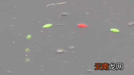 春天钓鱼钓多深最好 早春钓鱼钓多深为好