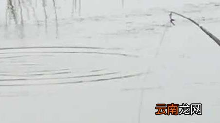 春季如何钓鱼 春季钓鱼技巧全知识