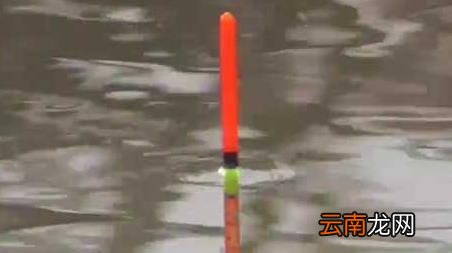 春季如何钓鱼 春季钓鱼技巧全知识