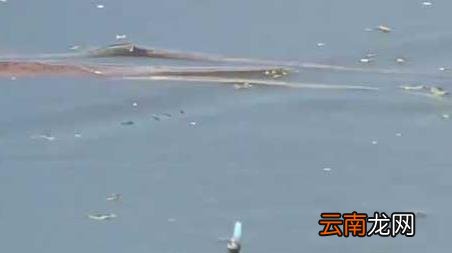 春季如何钓鱼 春季钓鱼技巧全知识