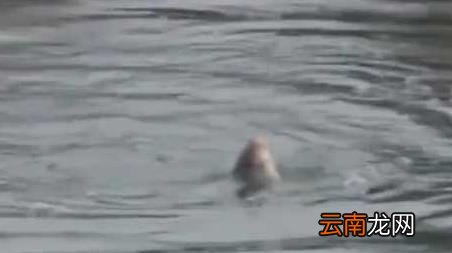春季如何钓鱼 春季钓鱼技巧全知识