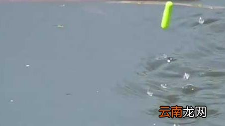 春季如何钓鱼 春季钓鱼技巧全知识