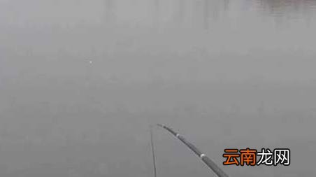 春季什么时候最好钓鱼 春季什么时间钓鱼最好