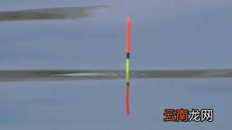 春季什么时候最好钓鱼 春季什么时间钓鱼最好