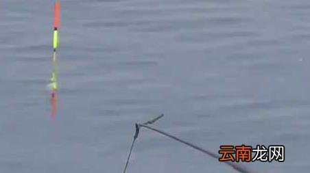 春季什么时候最好钓鱼 春季什么时间钓鱼最好