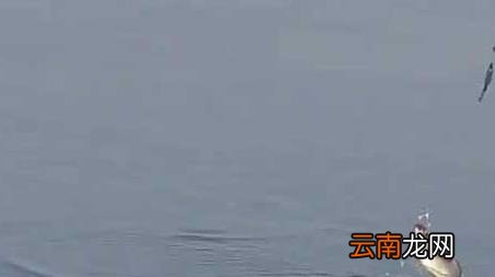 春季什么时候最好钓鱼 春季什么时间钓鱼最好