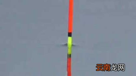 春季野钓技巧全攻略，春季如何野钓