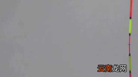 钓鱼钓鱼口诀大全春夏秋冬 春天钓鱼的口诀及解释