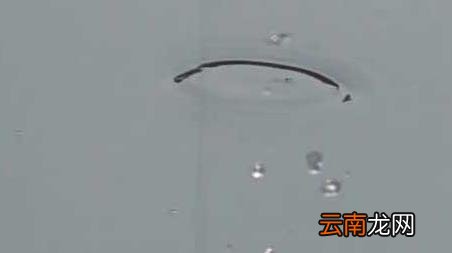 早春雨后钓鱼好吗 春季雨前好钓鱼吗