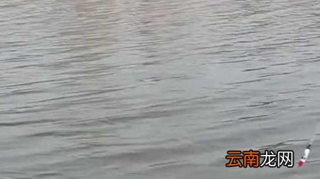 春季气压多少适合钓鱼，秋季钓鱼气压多少适合钓鱼