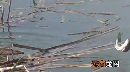 春季气压多少适合钓鱼，秋季钓鱼气压多少适合钓鱼