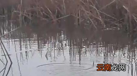 春季钓鱼几月份最好钓 春季钓鱼在几月份好