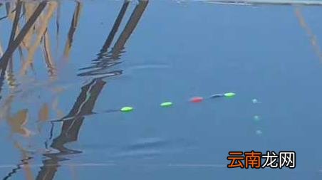 初春钓鱼为什么没口 为什么春季中午钓鱼没有口