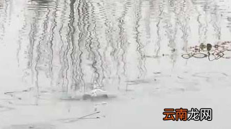 初春钓鱼为什么没口 为什么春季中午钓鱼没有口