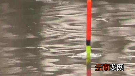 春天钓鱼打窝有什么讲究，开春钓鱼用什么打窝
