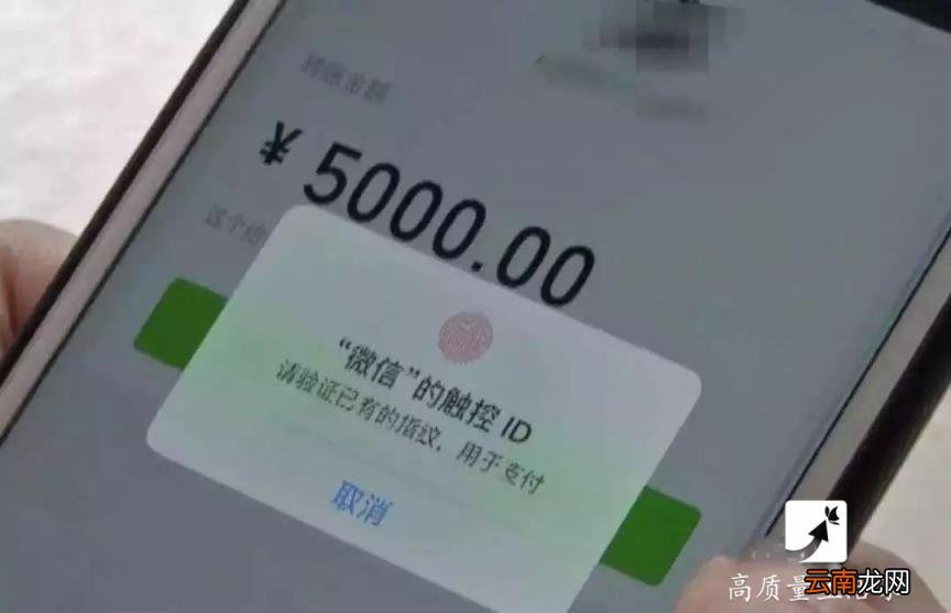 怎么查看已过期的红包数据 微信红包过期了能看金额吗