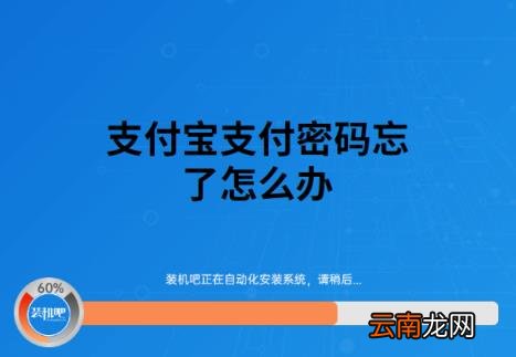 手机号没了怎么登录支付宝 支付宝登录密码忘记了怎么办