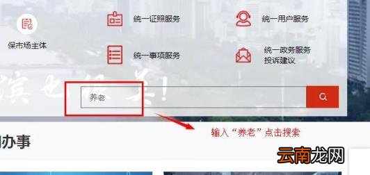 如何查个人养老保险明细 怎么查询养老保险缴费记录