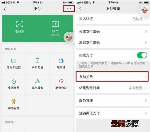 怎样关闭免密支付功能 怎样取消免密支付