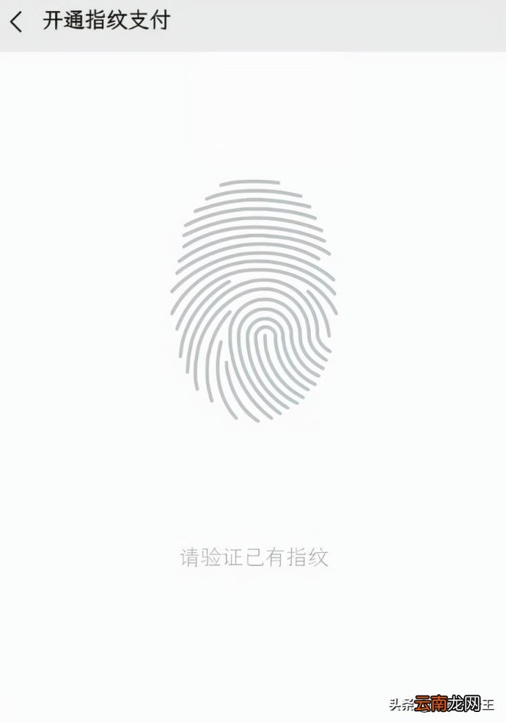 微信钱包页面怎么加密 微信怎么设置支付页面密码