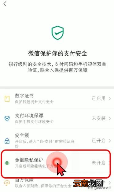 微信钱包页面怎么加密 微信怎么设置支付页面密码