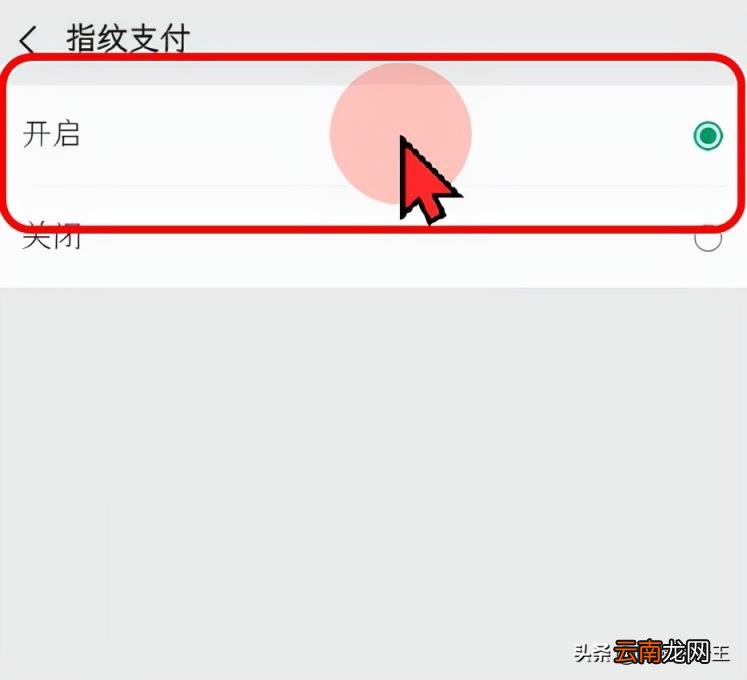 微信钱包页面怎么加密 微信怎么设置支付页面密码