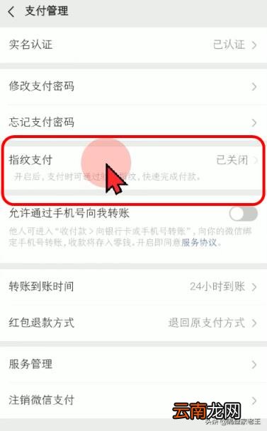 微信钱包页面怎么加密 微信怎么设置支付页面密码
