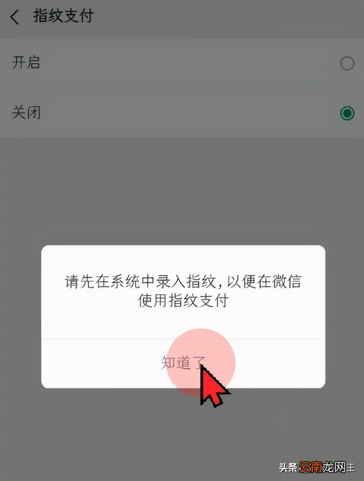 微信钱包页面怎么加密 微信怎么设置支付页面密码
