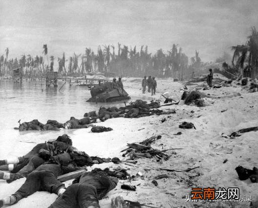 美国二战死了多少士兵 美国二战死了多少人