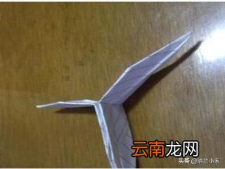 千纸鹤折法步骤图片 千纸鹤的简单折法之图文并茂？