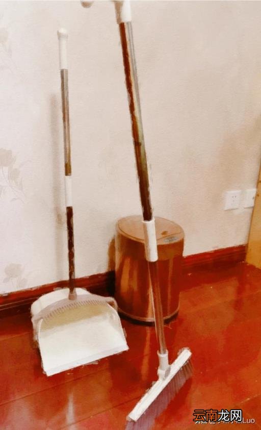 扫帚立着 你家扫帚平常放在哪个位置?