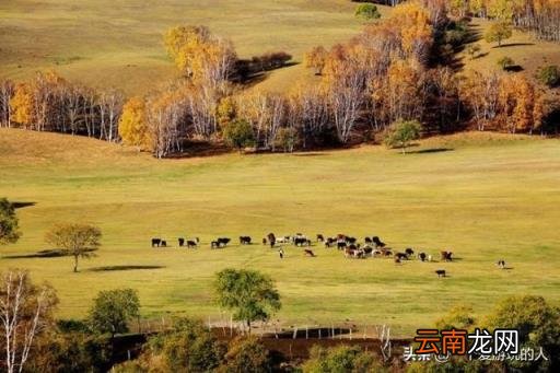 自驾游去哪里好玩 国庆去哪里自驾游有推荐的不？