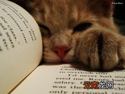 自负 自负、自卑、自信的区别是什么?