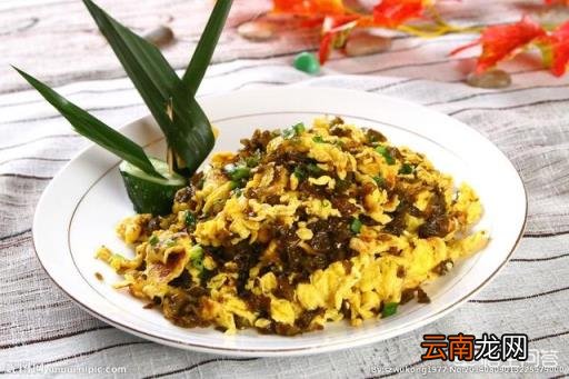 地皮菜的功效与禁忌 地皮菜的功效与作用是什么?