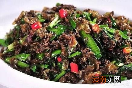 地皮菜的功效与禁忌 地皮菜的功效与作用是什么?