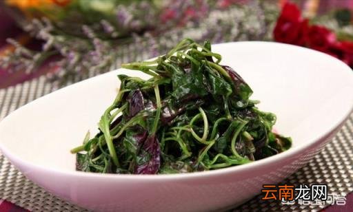地皮菜的功效与禁忌 地皮菜的功效与作用是什么?