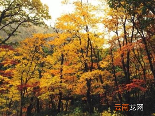日本旅游线路 日本自由行有哪些景点推荐？