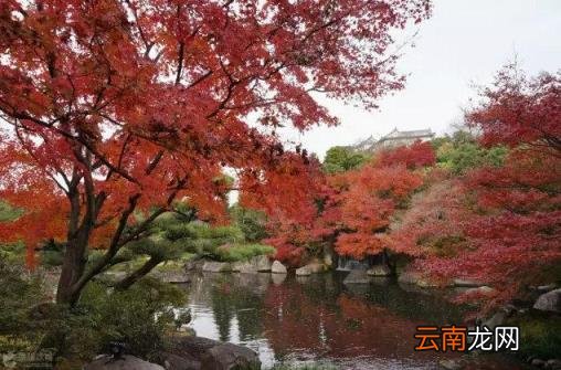 日本旅游线路 日本自由行有哪些景点推荐？
