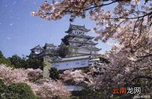 日本旅游线路 日本自由行有哪些景点推荐？