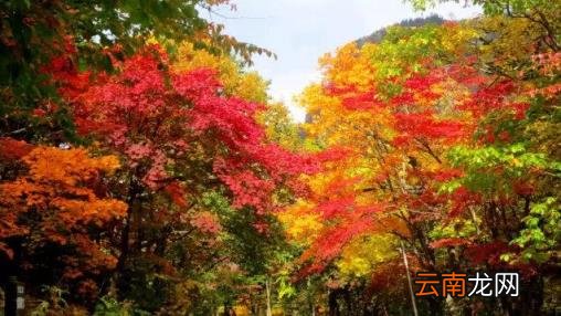 日本旅游线路 日本自由行有哪些景点推荐？