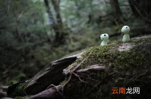 日本旅游线路 日本自由行有哪些景点推荐？